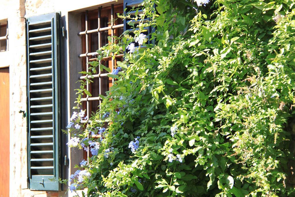보르고 아 부기아노 Antica Casa "Le Rondini" B&B 외부 사진