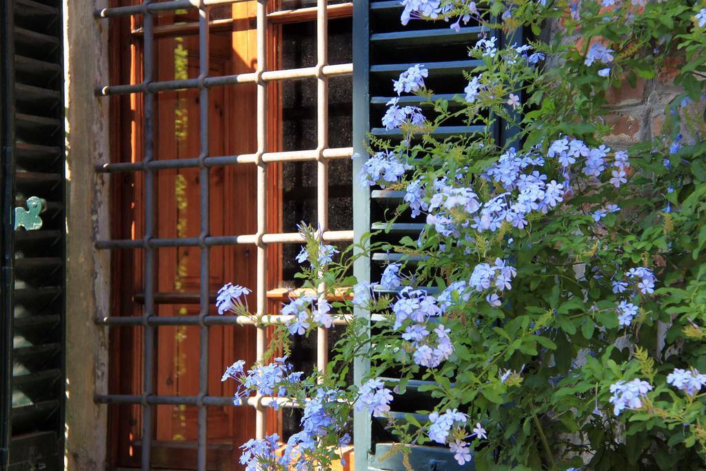 보르고 아 부기아노 Antica Casa "Le Rondini" B&B 외부 사진